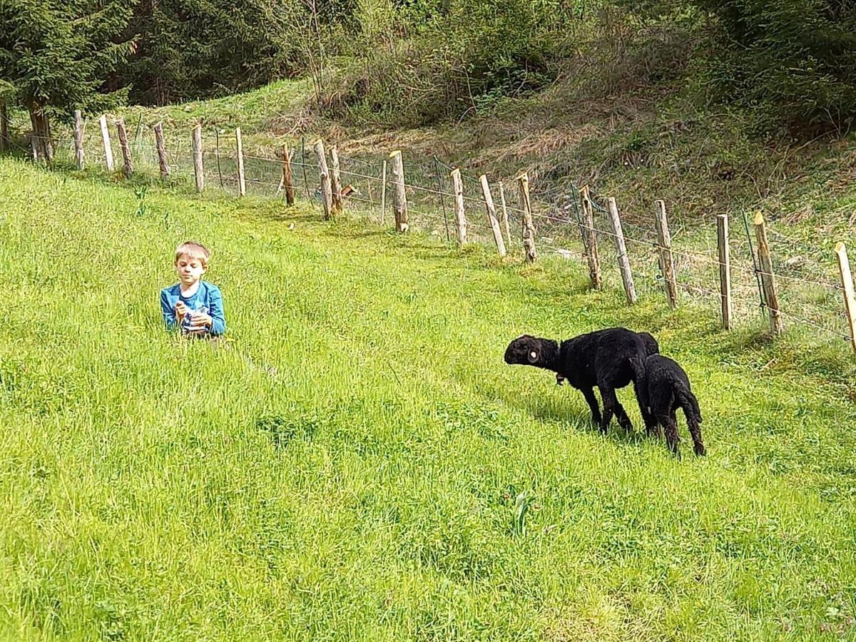 Ferienwohnungen Weberbauer Sankt Martin bei Lofer Extérieur photo